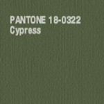 Cypress-1