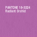 Radiant-Orchid-1